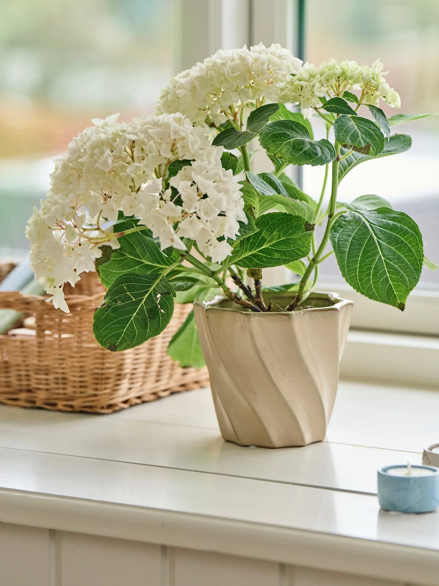 Blomsterpotte