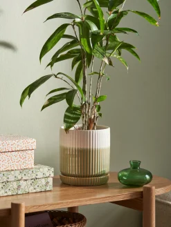 Blomsterpotte med underskål