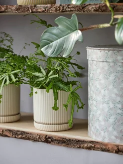 Blomsterpotte med underskål
