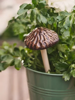 Deko-svamp til planter