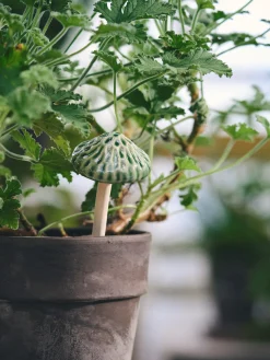 Deko-svamp til planter