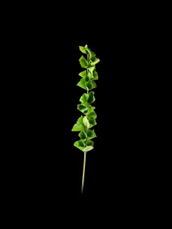 Kunstig molucella blomst