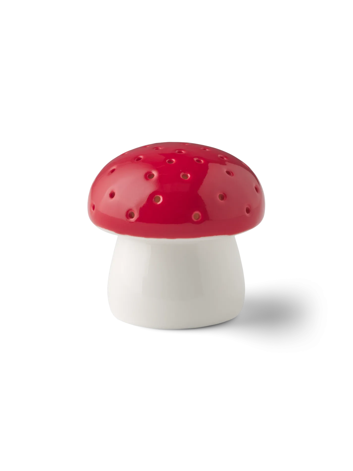 LED-svamp
