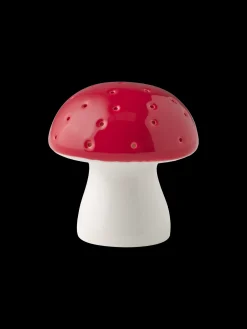 LED-svamp