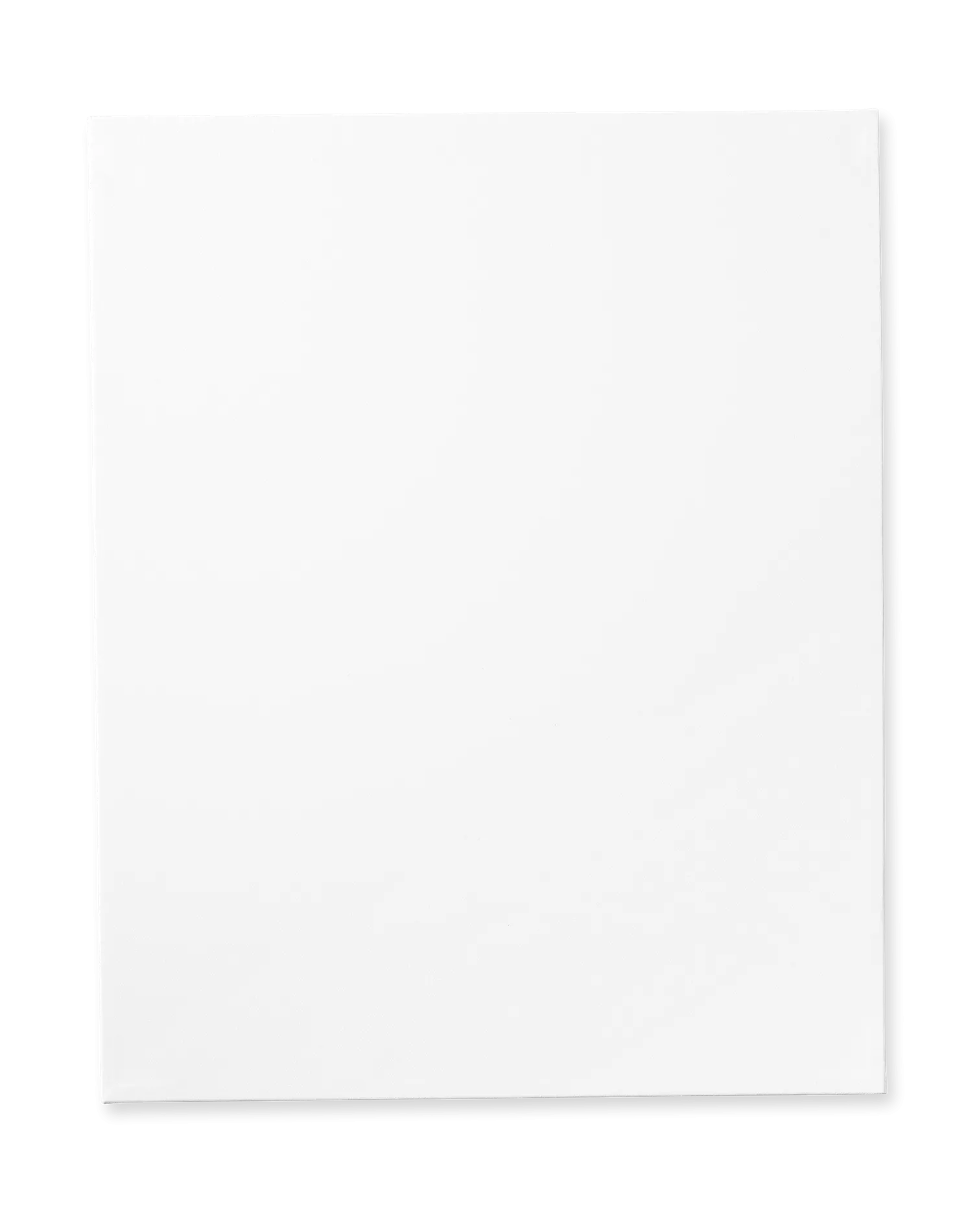 Malerlærred 40 x 50