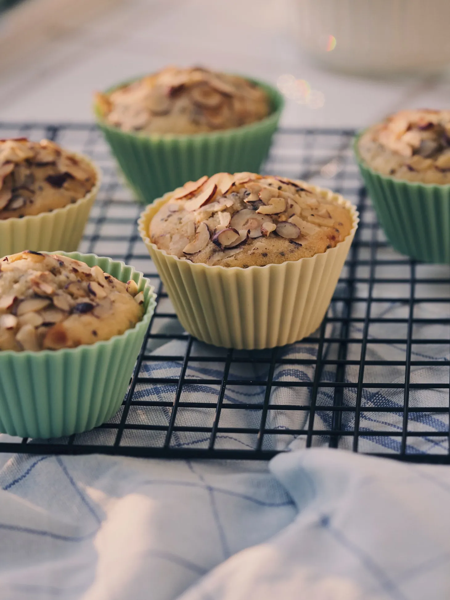 Muffinforme