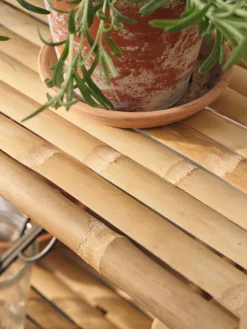 Reol