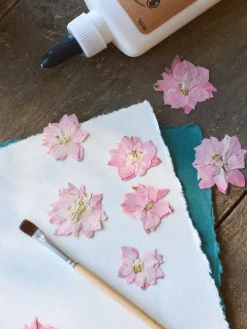 Tørrede blomster