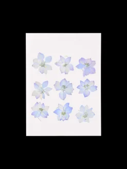 Tørrede blomster