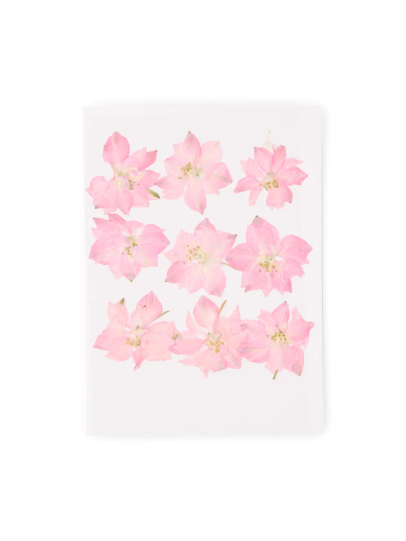 Tørrede blomster