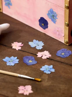 Tørrede blomster