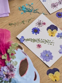 Tørrede blomsterhoveder