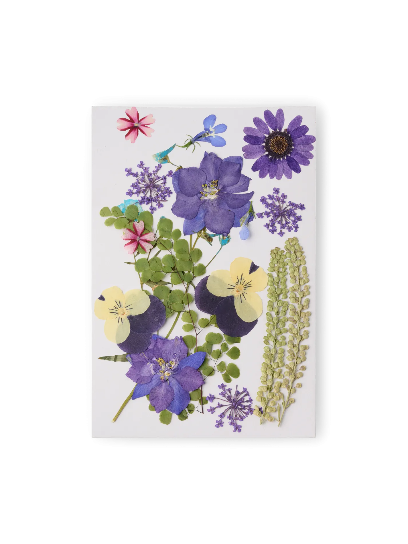 Tørrede blomsterhoveder