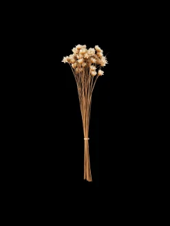 Tørrede blomster til DIY