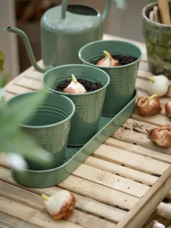 Urtepotteskjulere med bakke